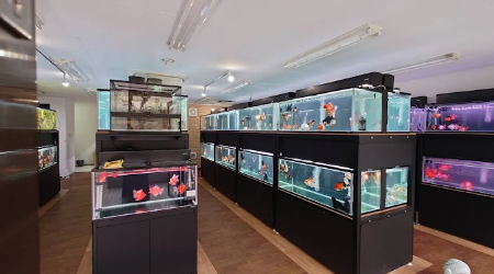 質を重視した、コスパ最強の品揃え。